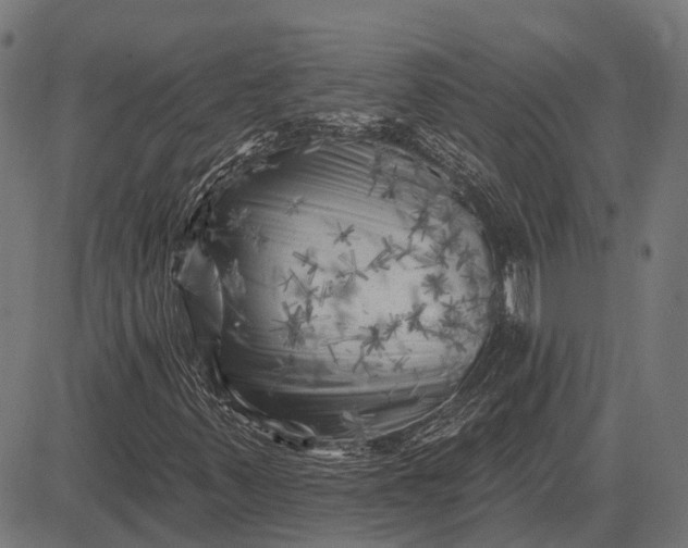 X0000082731347200702091827