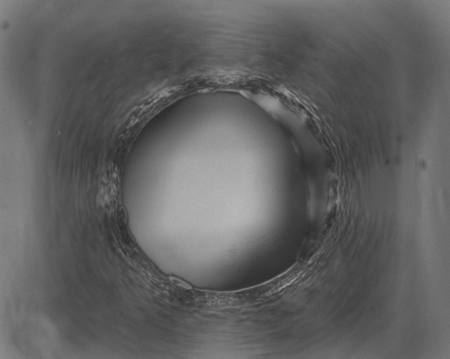 X0000082731349200702091827