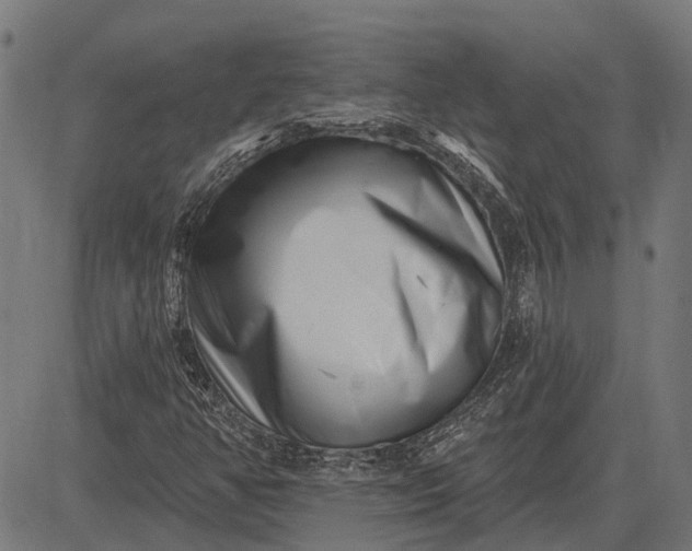 X0000082731350200702091827