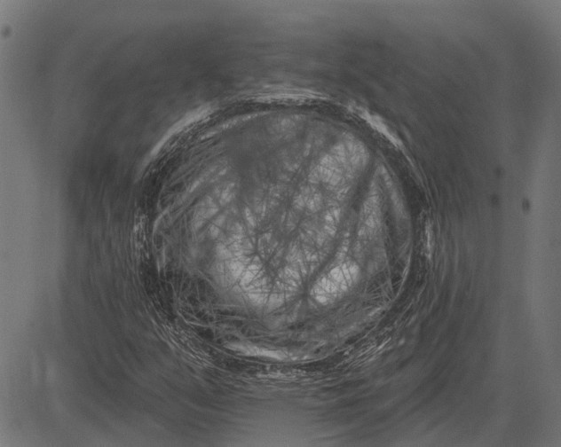 X0000082731351200702091827