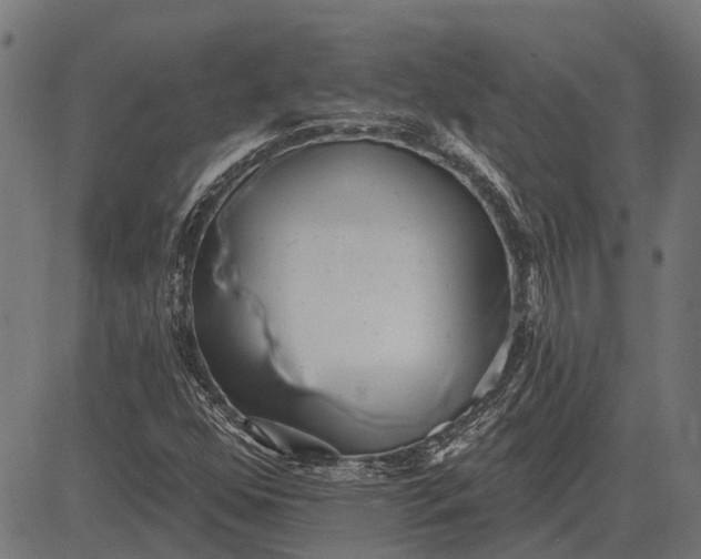 X0000082731352200702091827