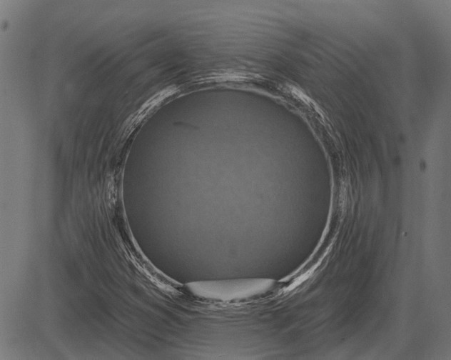 X0000082731353200702091827