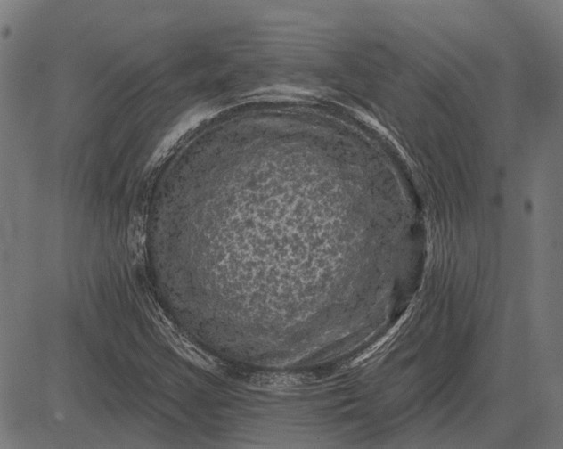 X0000082731355200702091827