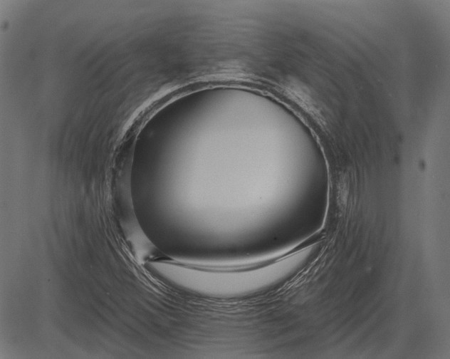 X0000082731356200702091827