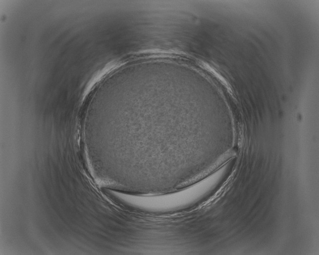 X0000082731357200702091827