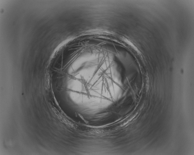 X0000082731358200702091827