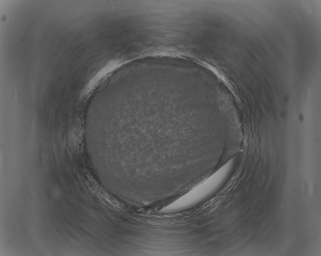 X0000082731359200702091827