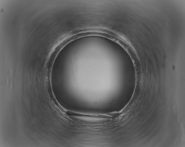 X0000082731360200702091827