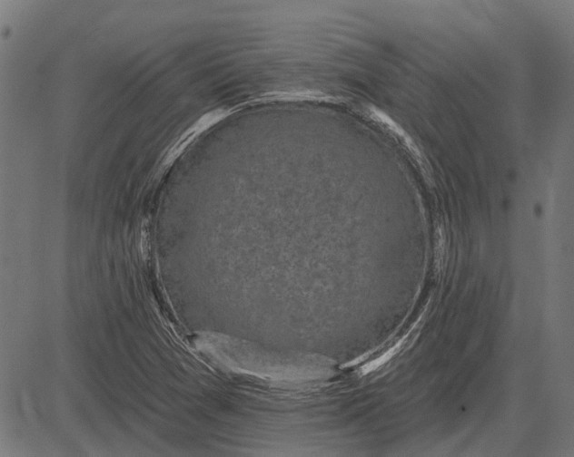 X0000082731361200702091827