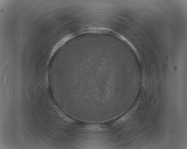 X0000082731362200702091827