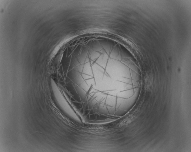 X0000082731363200702091827