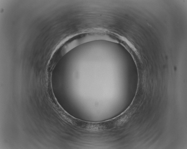 X0000082731364200702091827