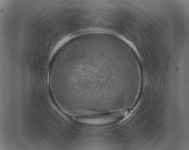 X0000082731365200702091827