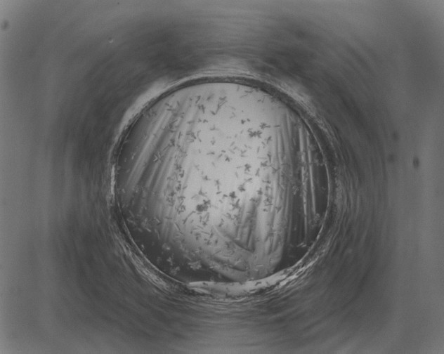 X0000082731366200702091827