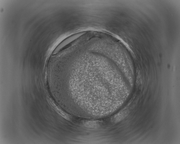 X0000082731367200702091827