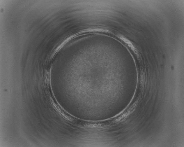 X0000082731369200702091827