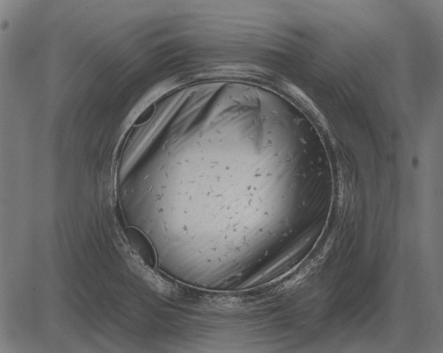 X0000082731370200702091827