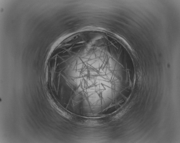 X0000082731371200702091827