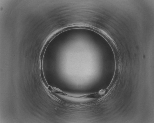 X0000082731372200702091827