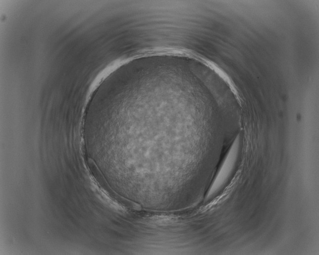 X0000082731373200702091827