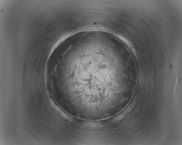 X0000082731374200702091827