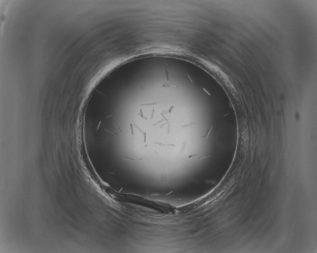 X0000082731375200702091827