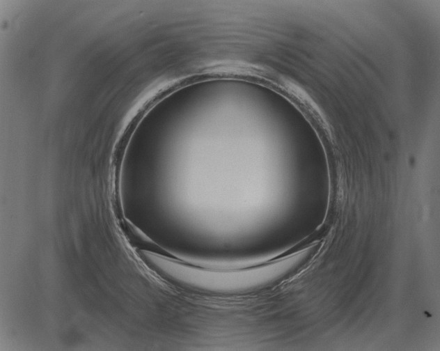 X0000082731376200702091827