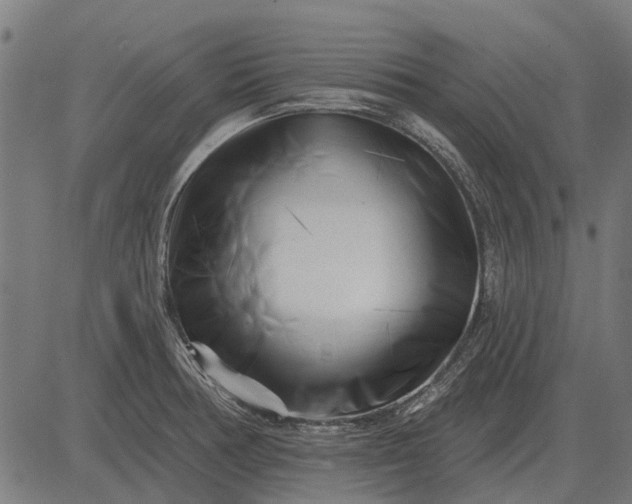 X0000082731378200702091827