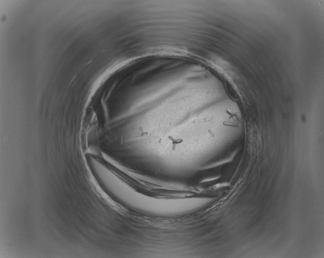 X0000082731379200702091827