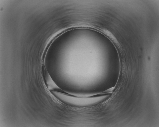 X0000082731380200702091827