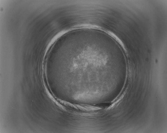 X0000082731381200702091827