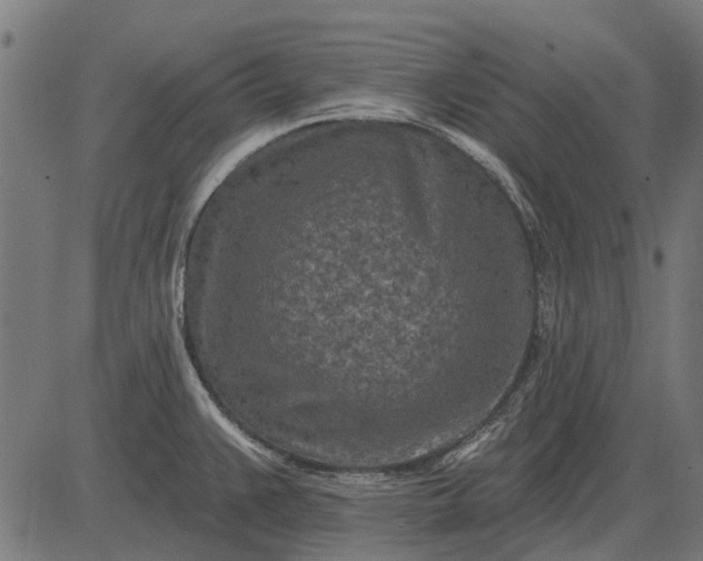 X0000082731383200702091827