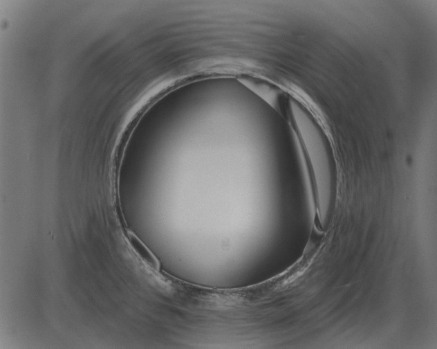 X0000082731384200702091827