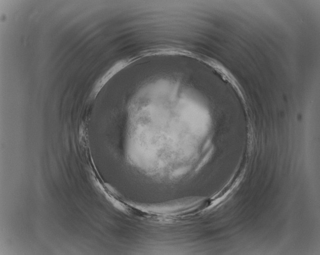 X0000082731385200702091827