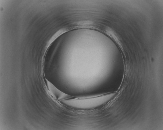 X0000082731386200702091827