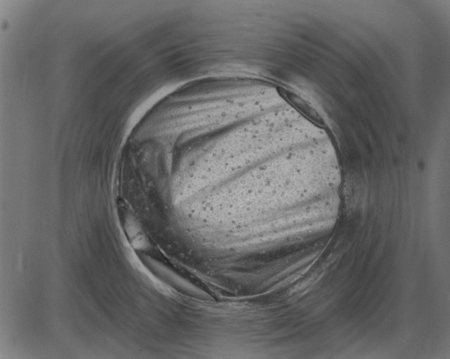 X0000082731387200702091827