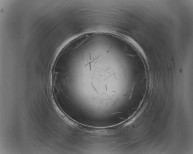 X0000082731388200702091827