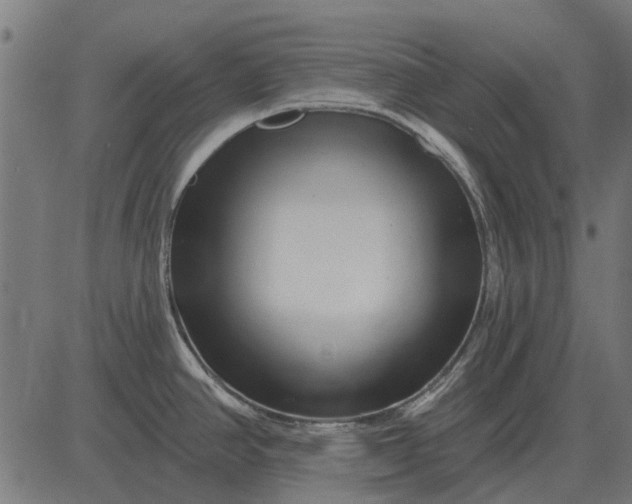 X0000082731390200702091827