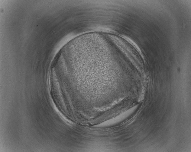 X0000082731391200702091827