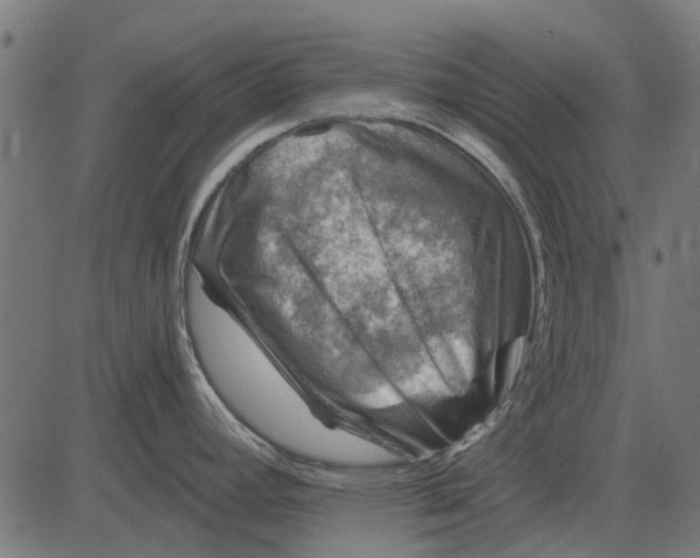 X0000082731392200702091827