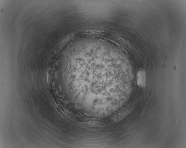 X0000082731395200702091826