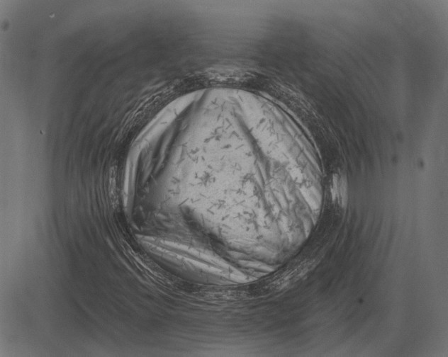 X0000082731396200702091826