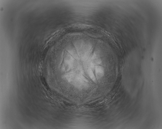 X0000082731397200702091826