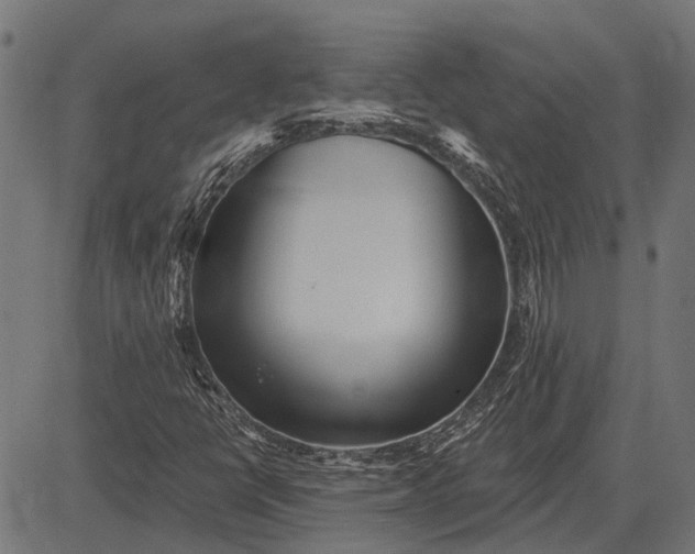 X0000082731398200702091826