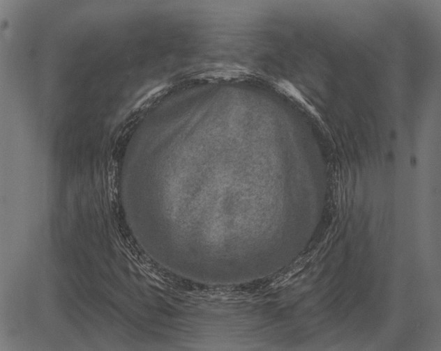 X0000082731399200702091826