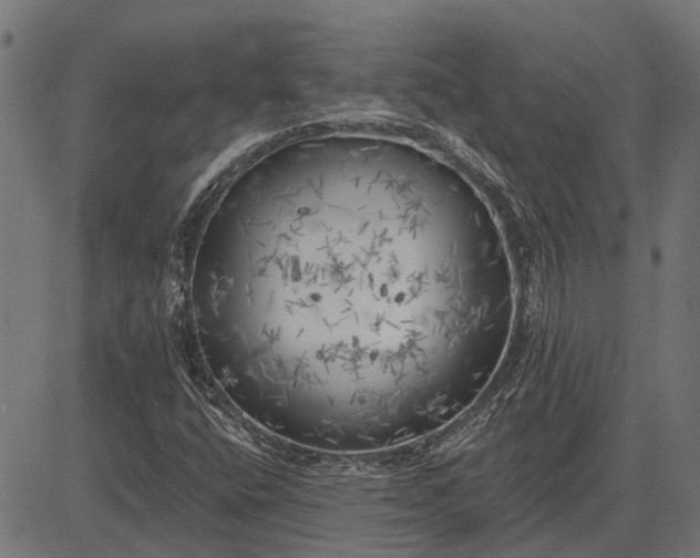 X0000082731400200702091826