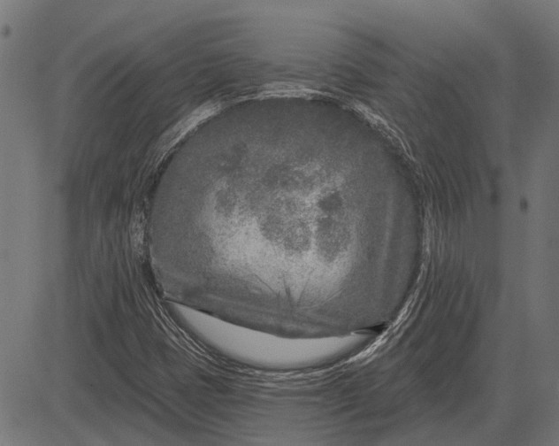 X0000082731401200702091826