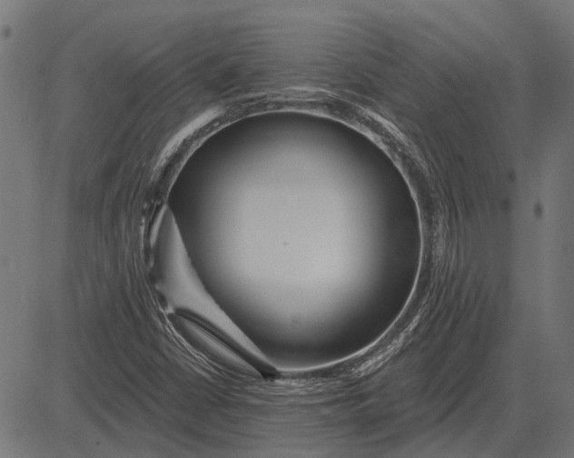 X0000082731402200702091826