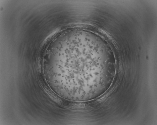 X0000082731403200702091826