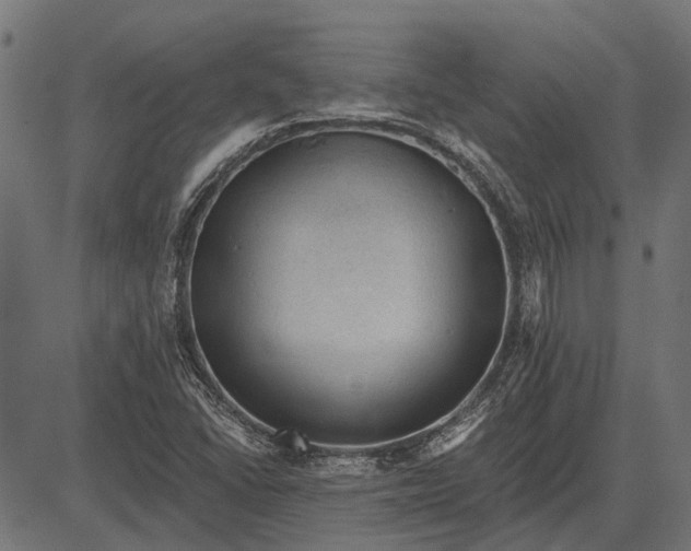 X0000082731406200702091826